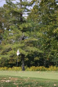 MCCCclassic-186 Large