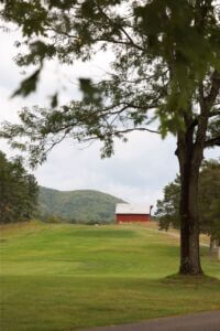 MCCCclassic-211 Large