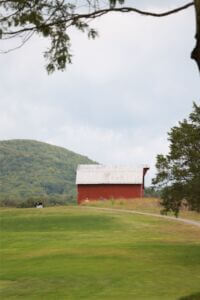 MCCCclassic-212 Large