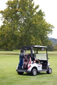 MCCCclassic-231 Large