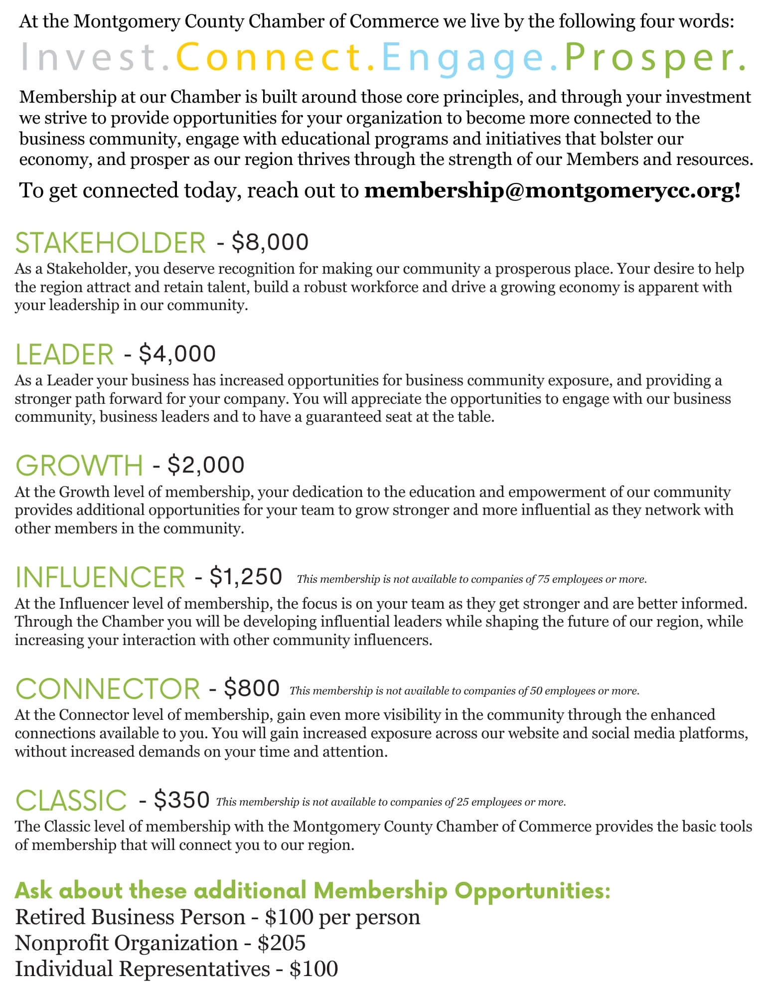 A graphic describing each Membership level at the Chamber in detail.