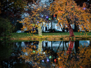 995ab6_641178d6f4c1479cb8c7c689435958cd-mv2