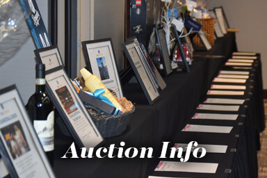 Auction-Info-Link_Gala