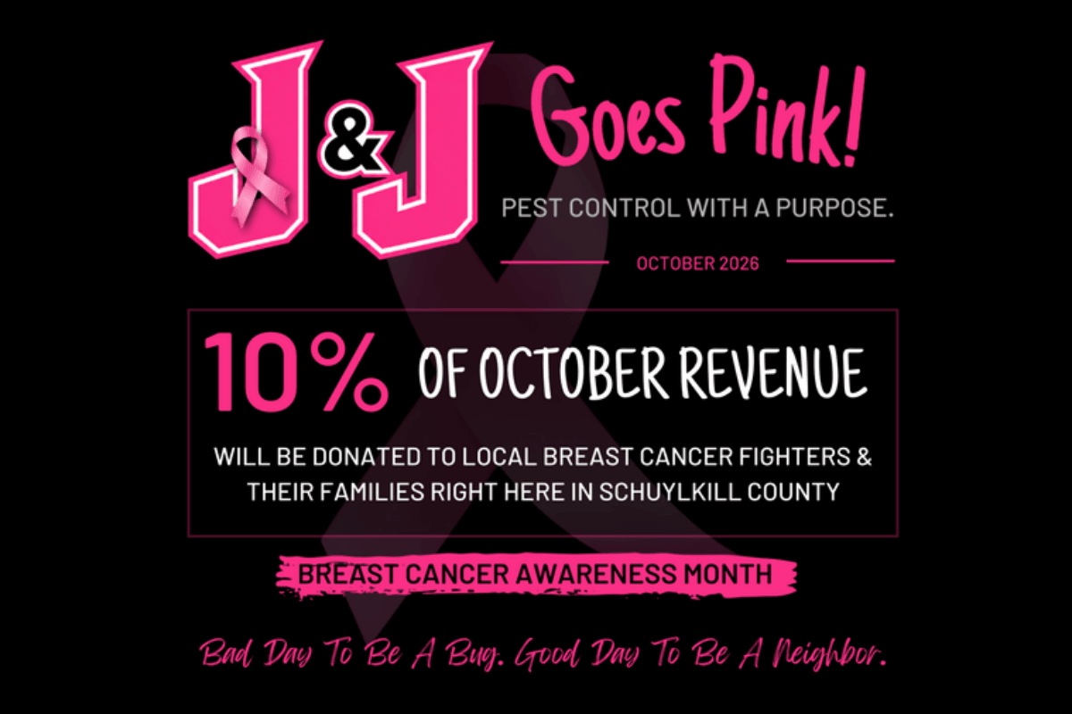 GO PINK Campaign Brief-02