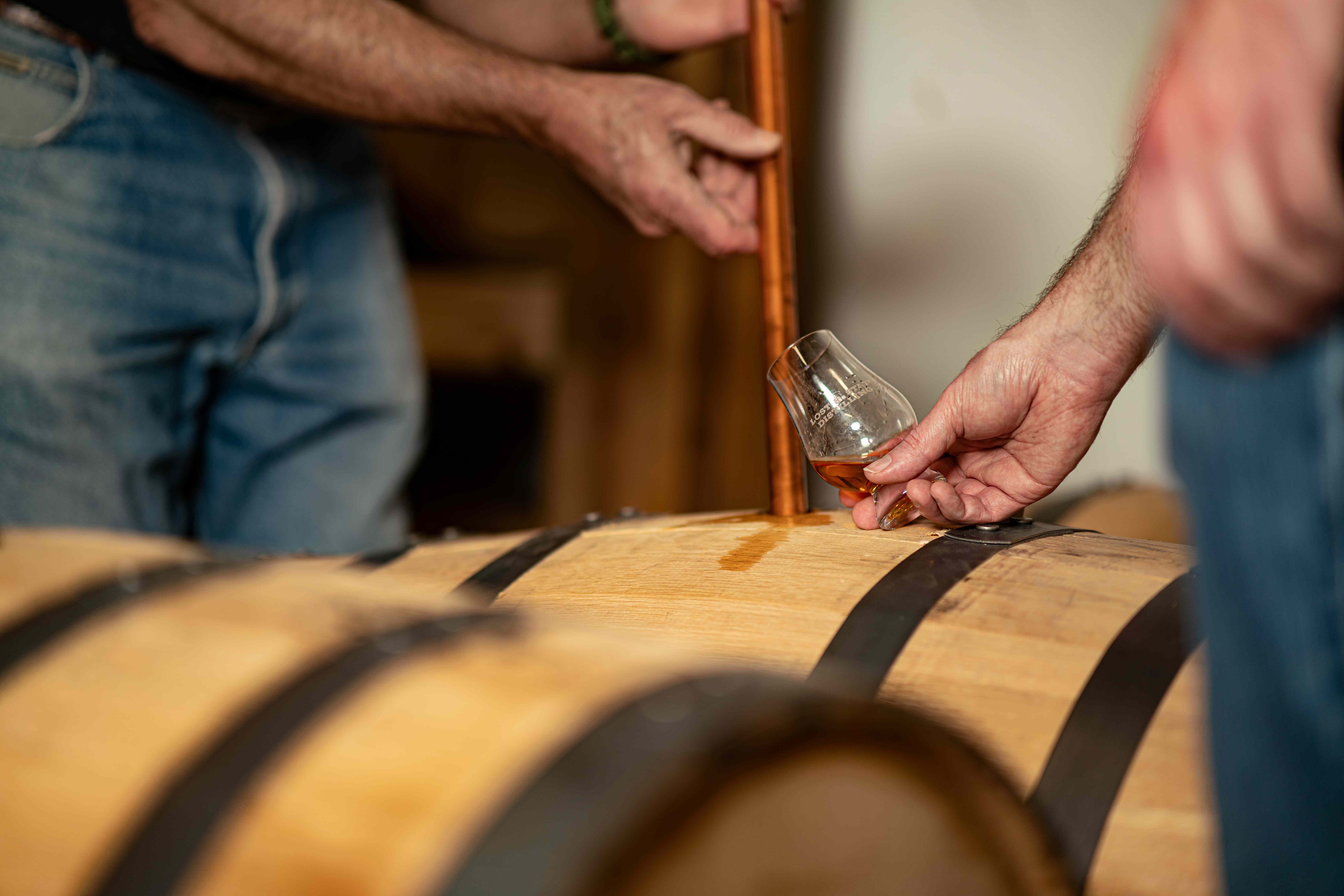 lost-state-distilling-09876 - compressed
