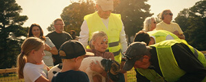 jack russel races