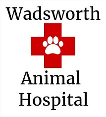 wadsAnimalHospital