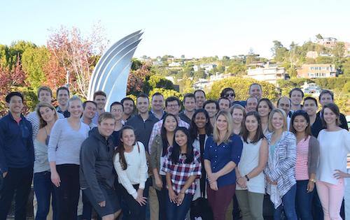 Young Professionals Group