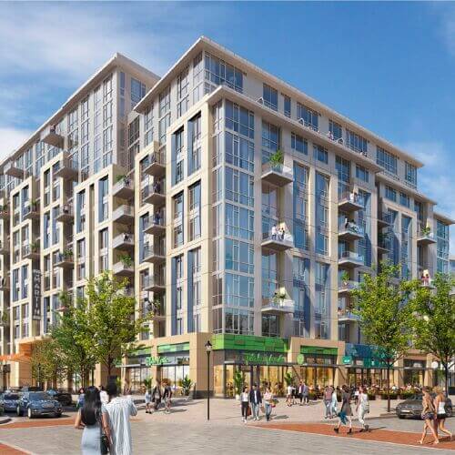 Copy of Untitled Design (16)