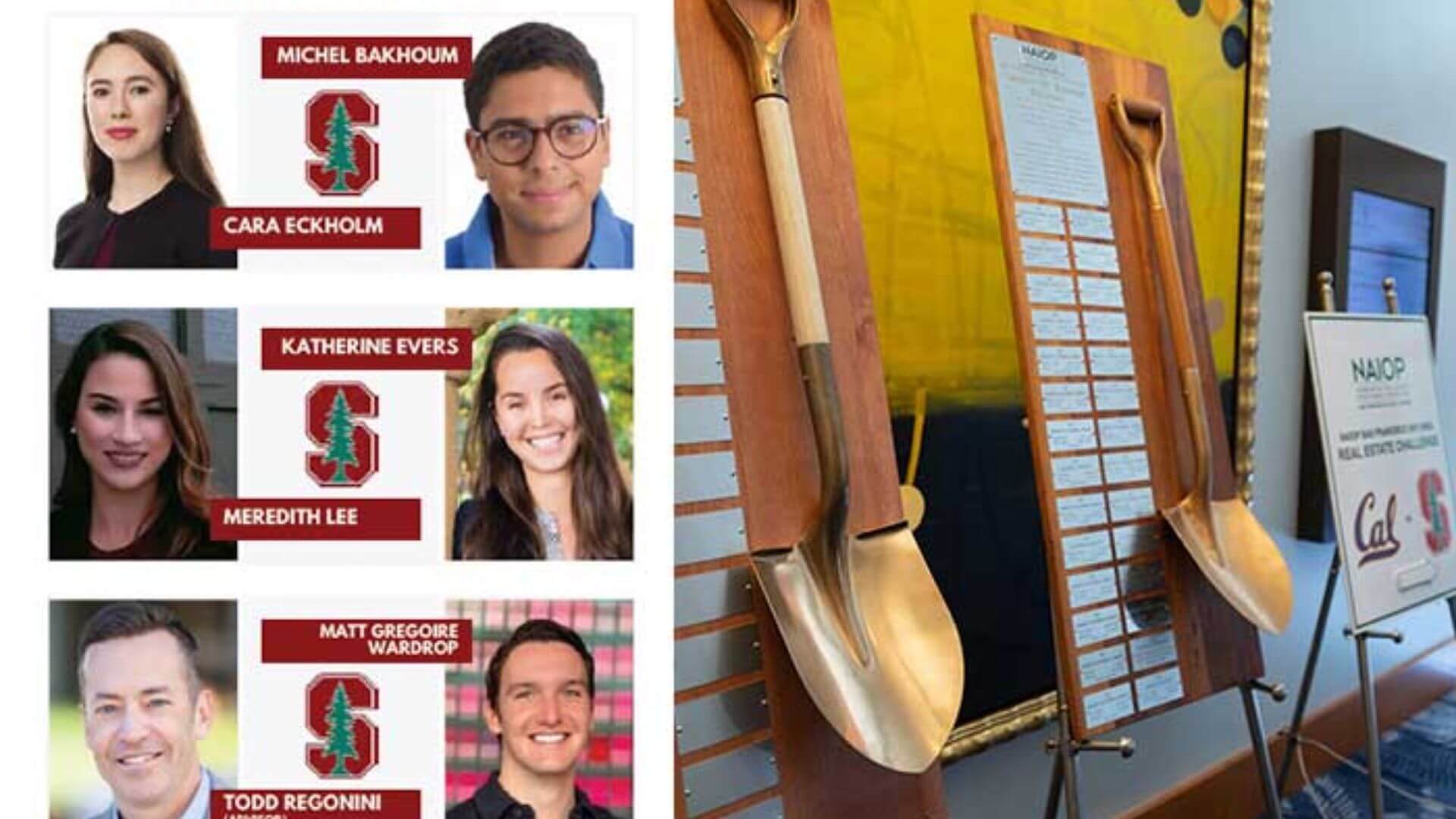 Untitled design (17)