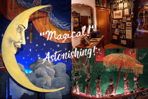 Throckmorton Theatre Tours & Tales