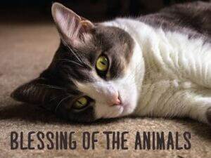 Blessing of the Animals