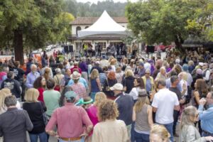 Mill Valley Community Block Party