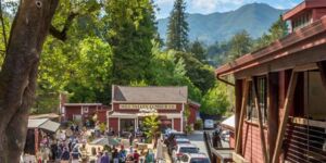 Mill Valley Lumber Yard info photo