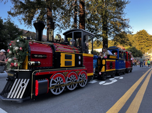WinterFest Train