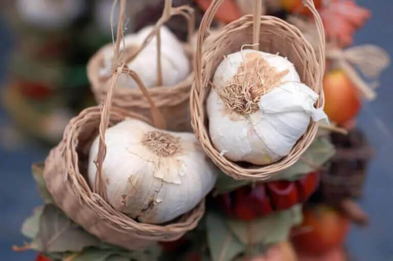 garlic and herb festival