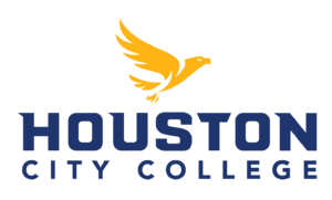 HCC