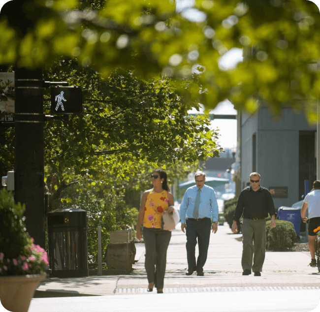 business people walking down tree-lined streets