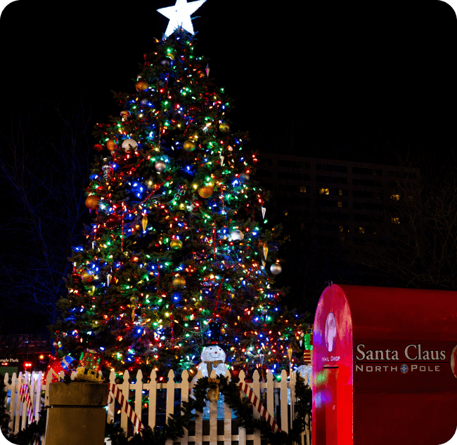 Luminate Lexington Christmas Tree & Mailbox for Santa
