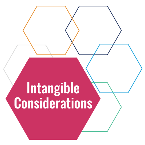 SBOY Intangible Considerations