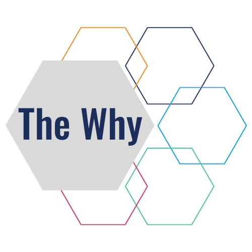 SBOY The Why