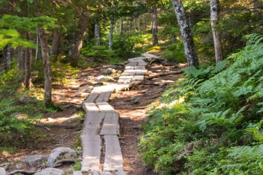 Acadia National Park