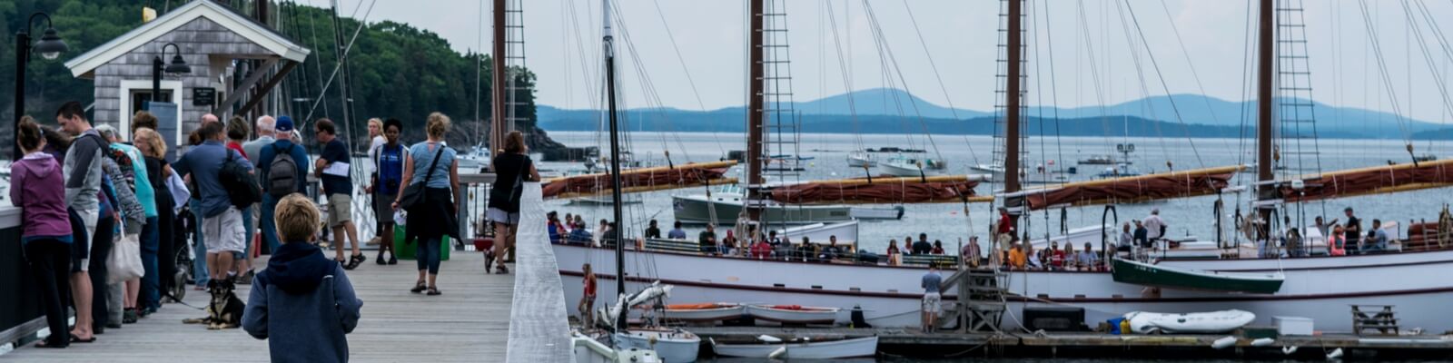 boats docked
