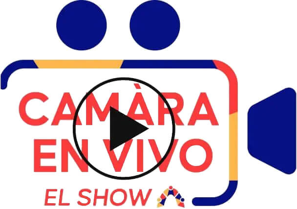 Cámara en Vivo logo
