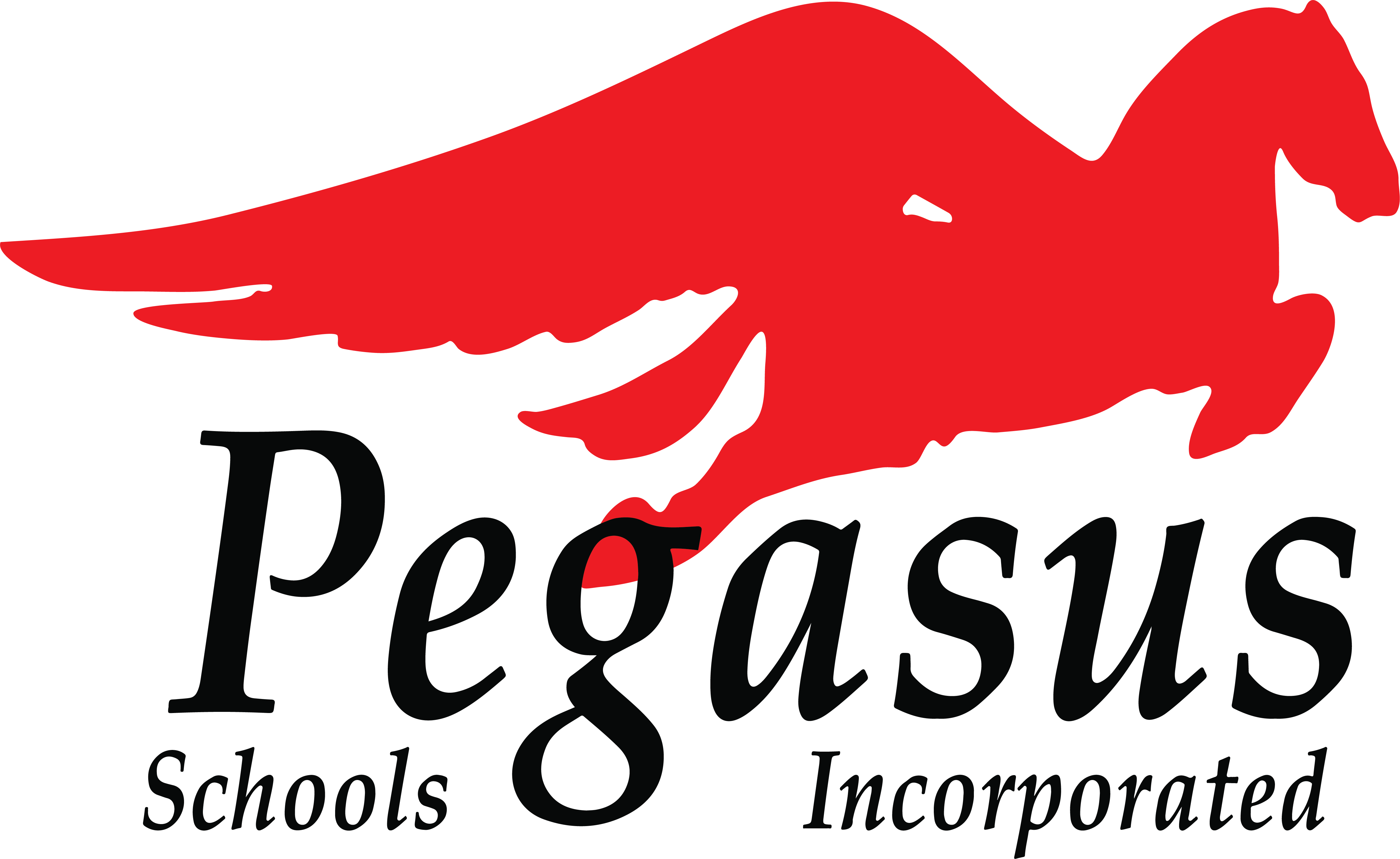 Pegasus School Inc.