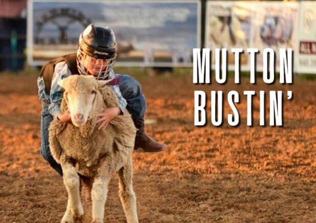 mutton bustin