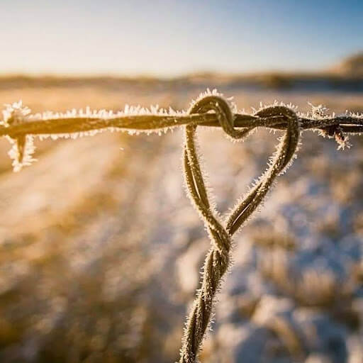 Frozen Heart - Kyle Mlynar - 2025 Winter Winner