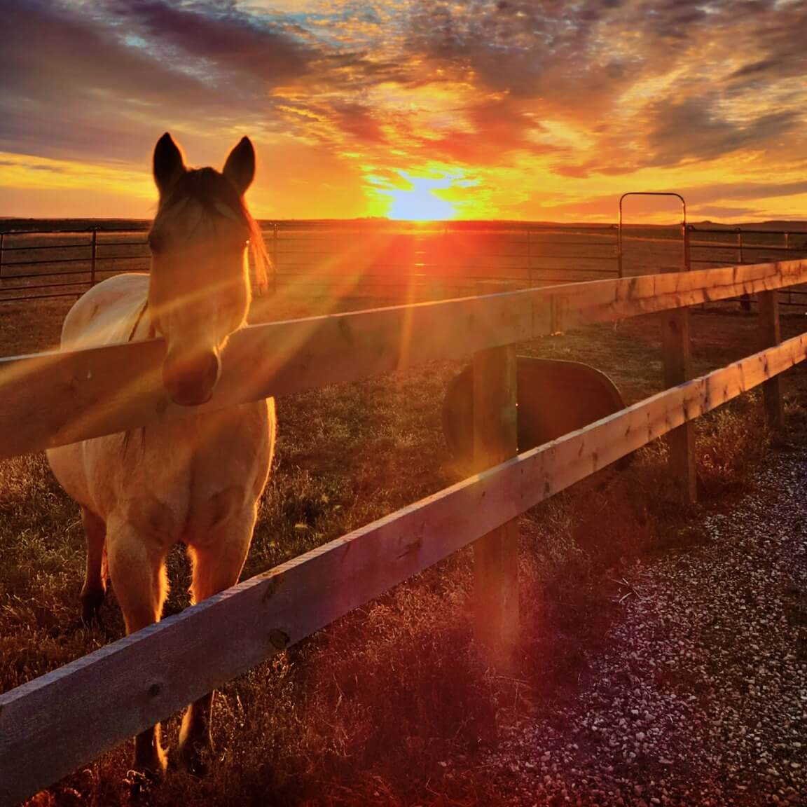2026 Winter Ag Photo Contest Winner - Jaime Karsky
