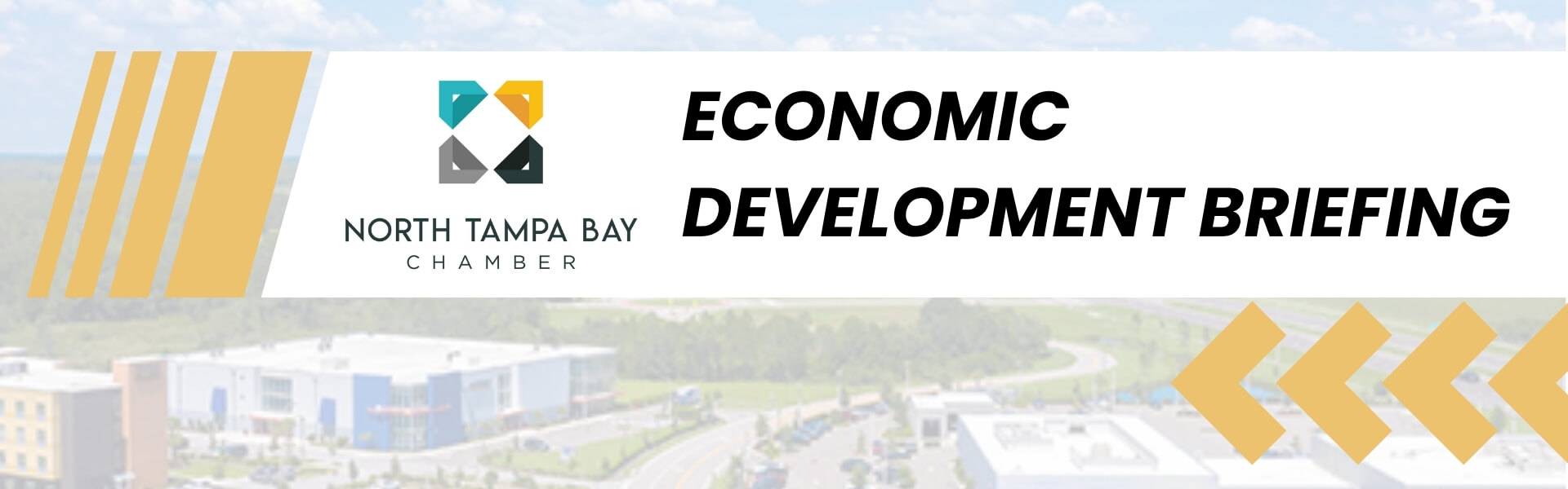 Economic Development Briefings