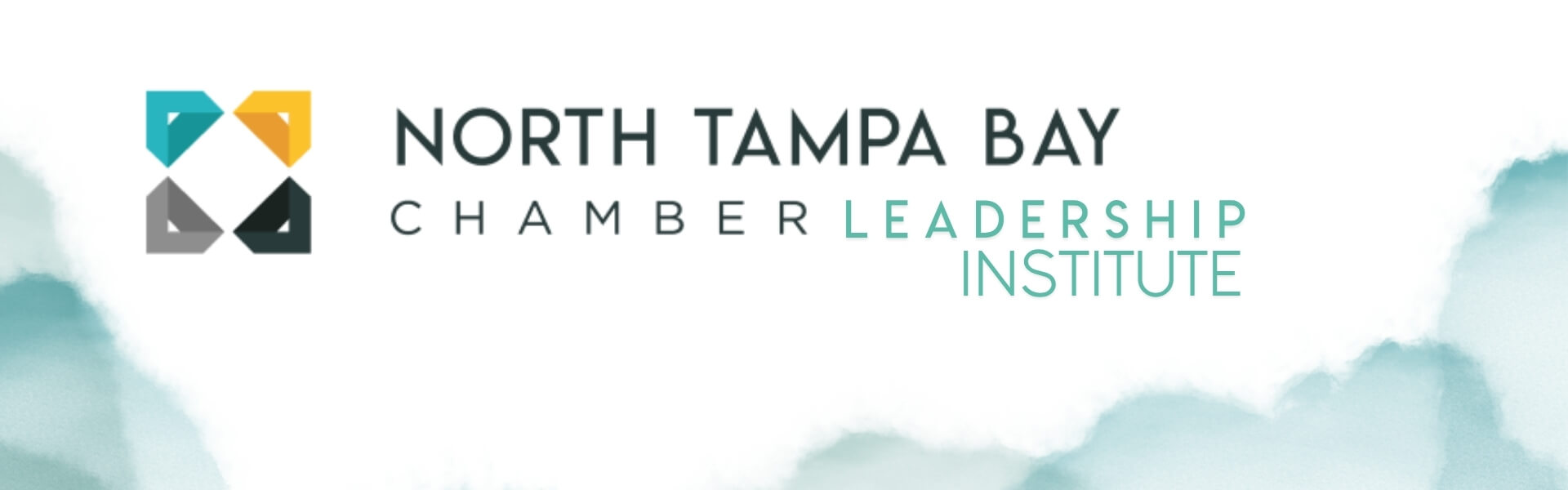 Leadership Institute
