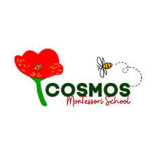 cosmos