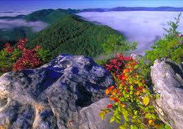 scenic overlook