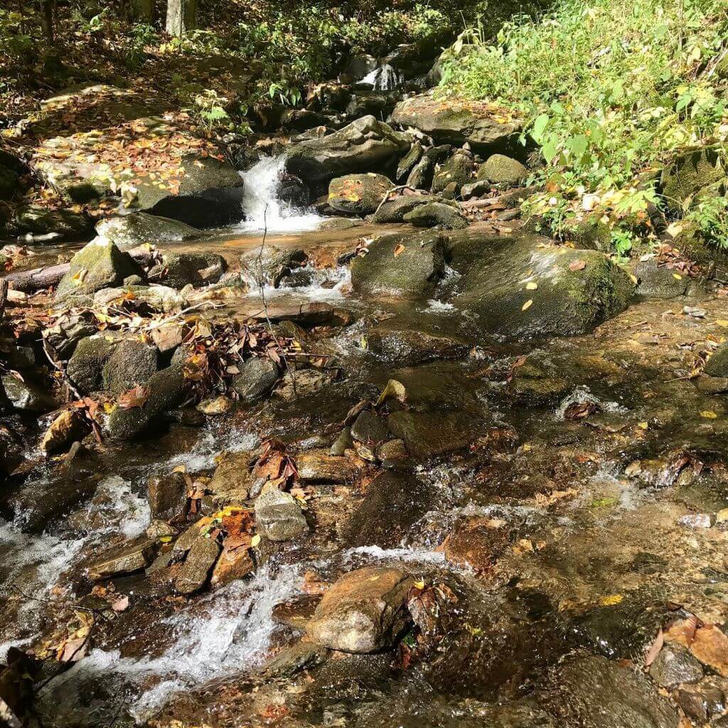 pinnacle park stream