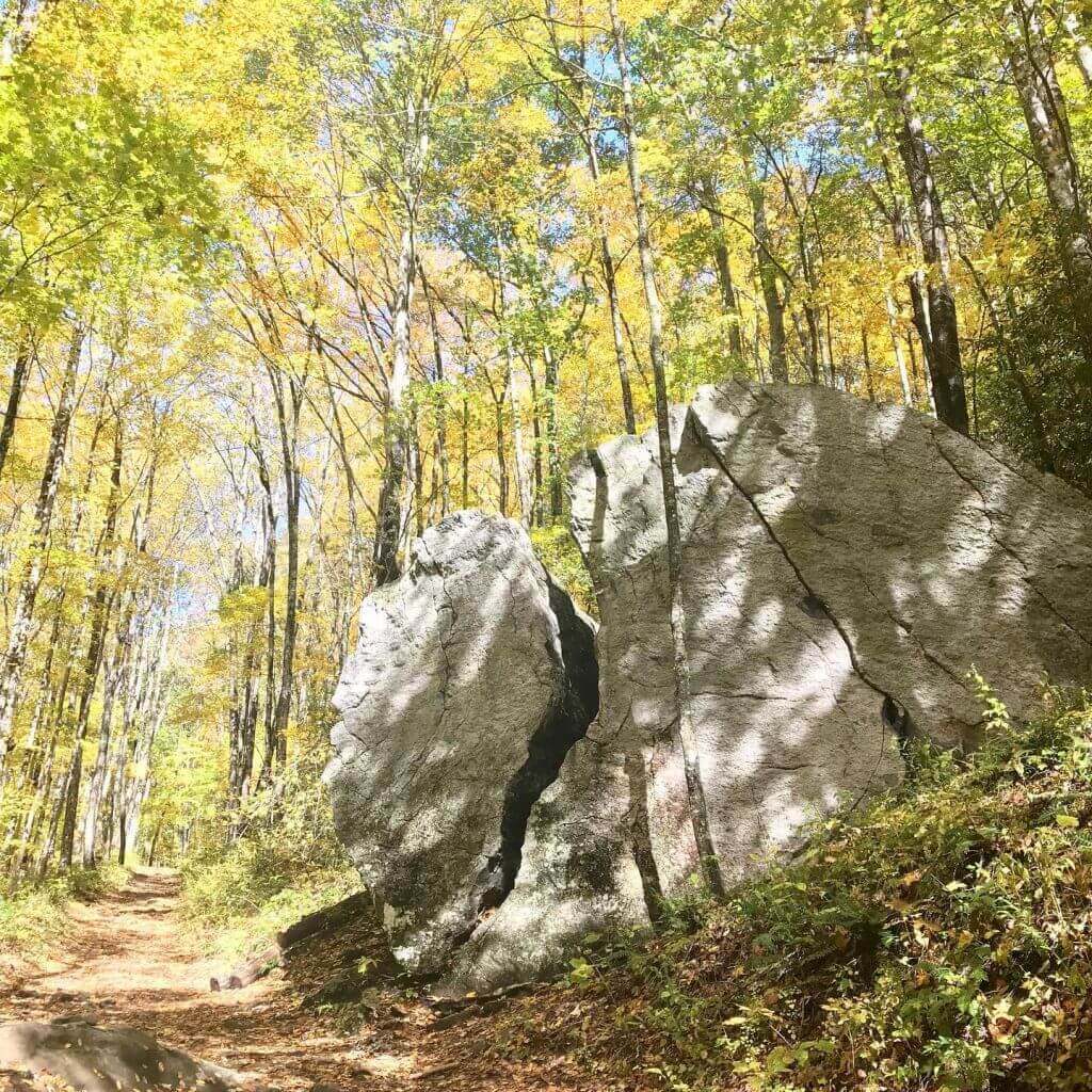 pinnacle park hiking trail