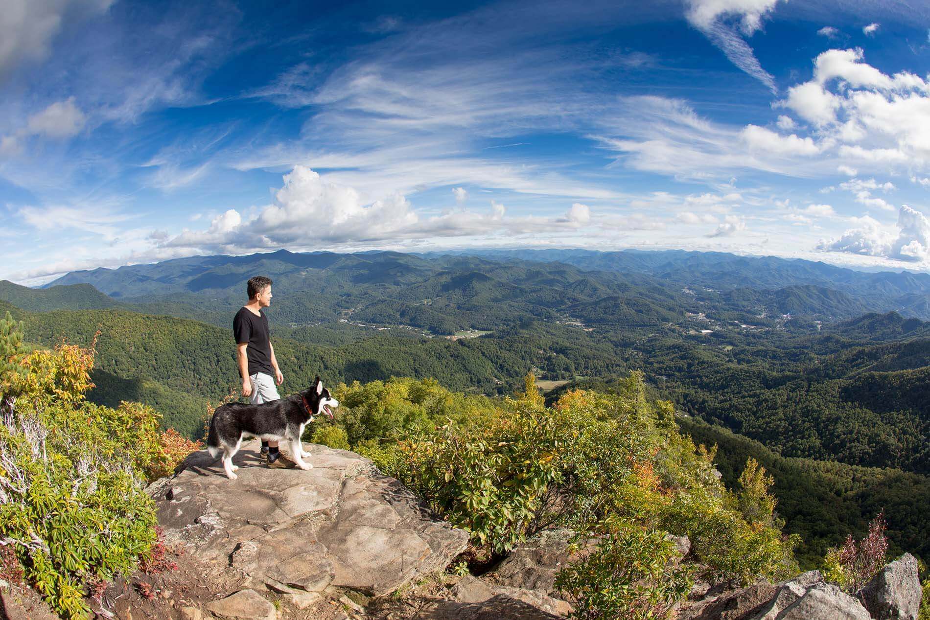 man hiking with dog overlooking Pinnacle Park mountain views