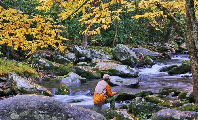 man fly fishing in stream