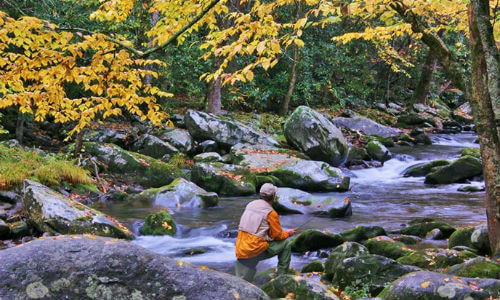 Great Smoky Mountains National Park