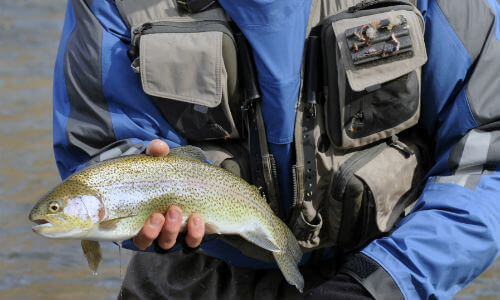 WNC Fly Fishing Trail