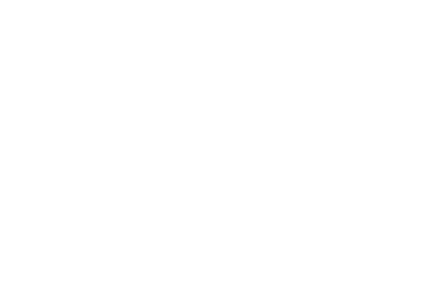 CSChamberLogoRGBColorFull - Edited white