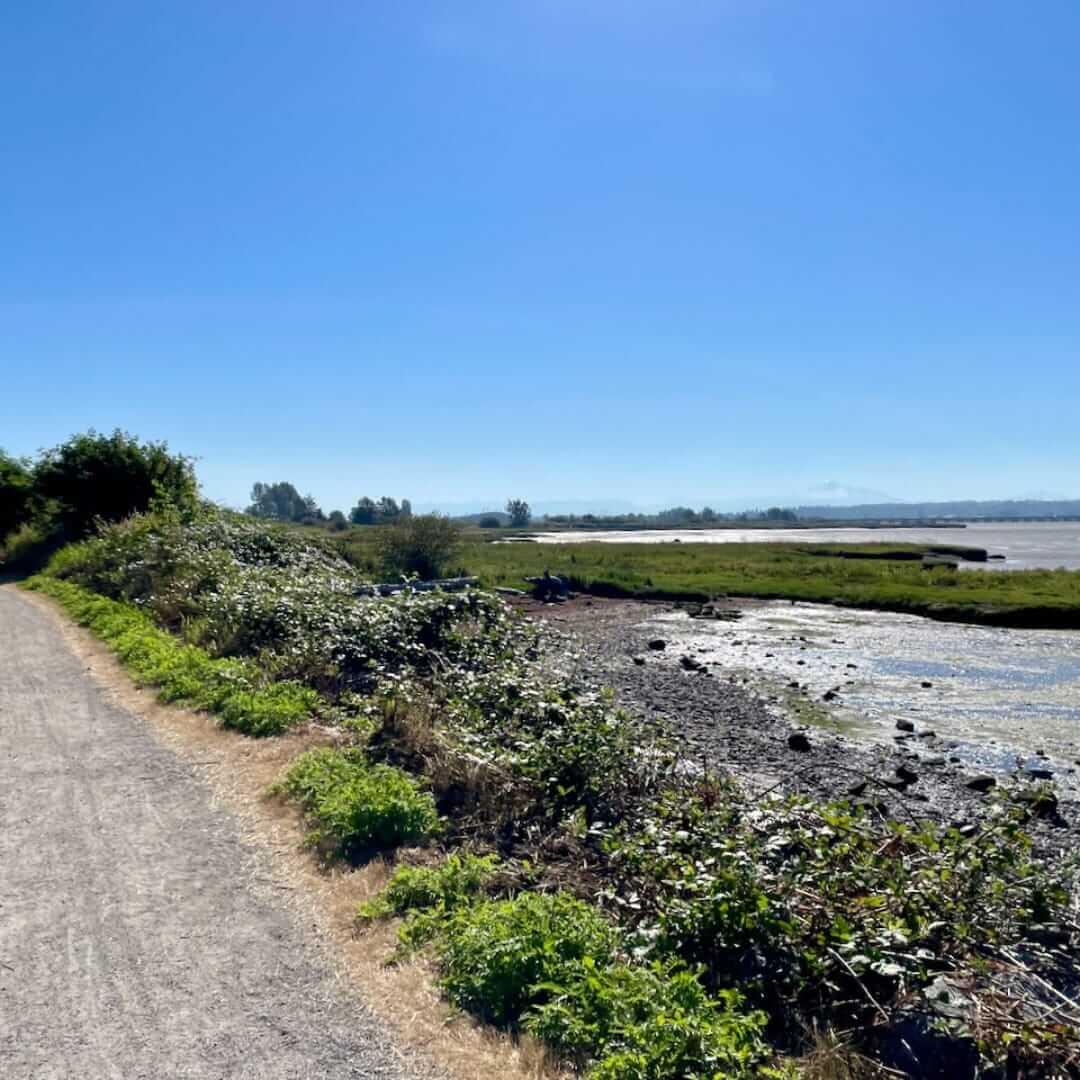 Boundary-Bay-Dike-Trail