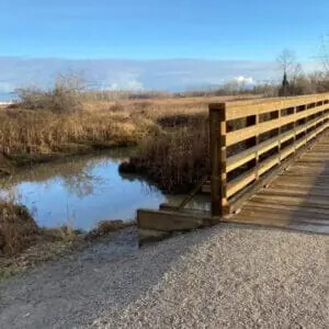 Ladner-Harbor-Park-300x300