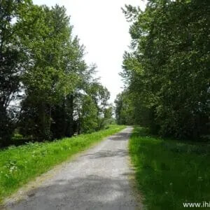 Millennium-Trail-300x300