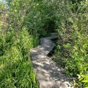 Spirit-Trail-south-arm-marshes-300x300