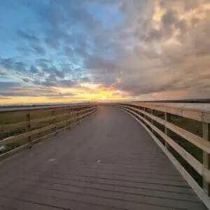 TFN-Boardwalk-300x300