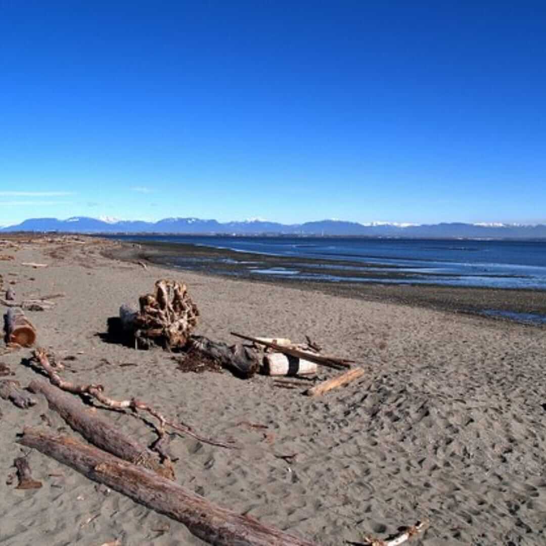 beaches