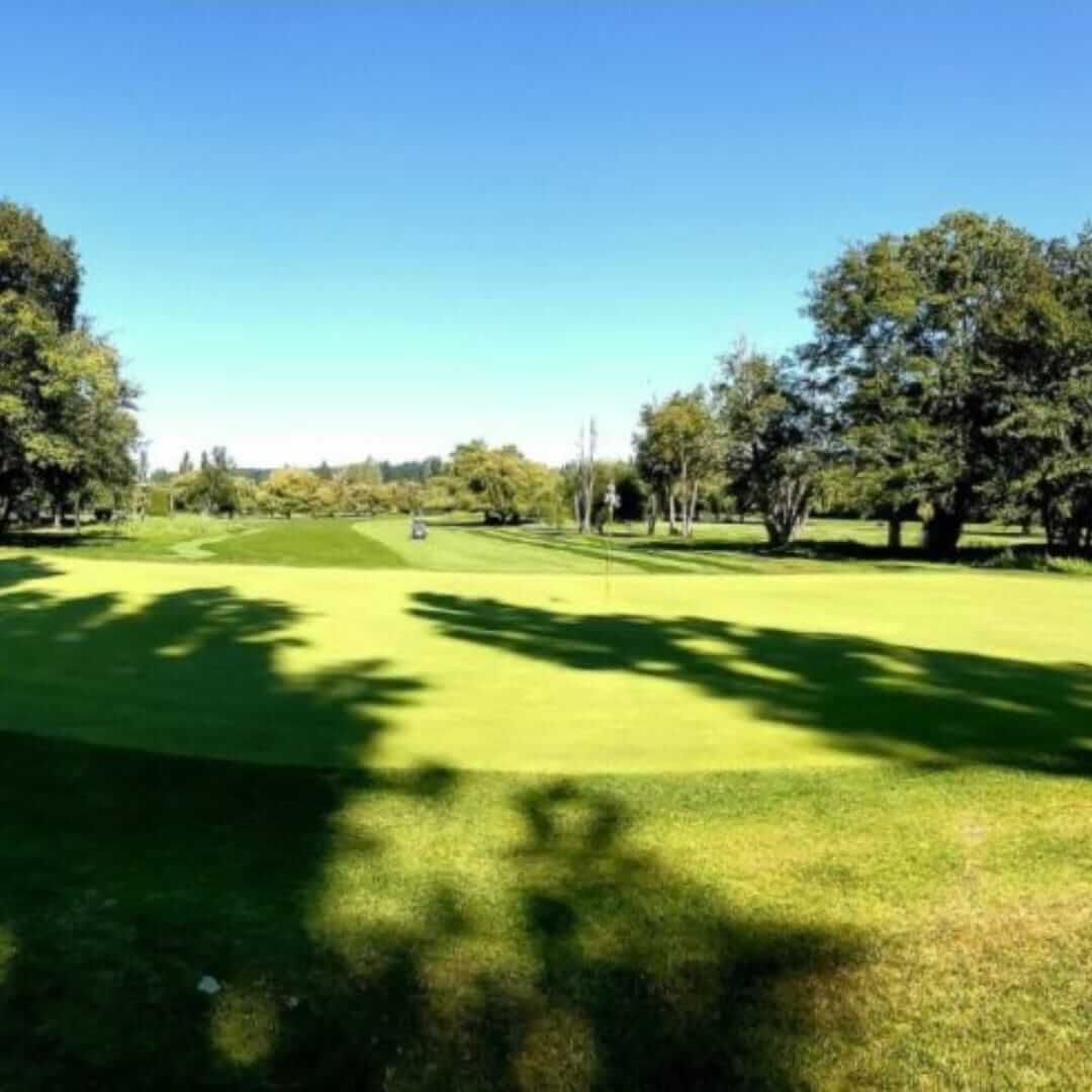 delta-golf-club